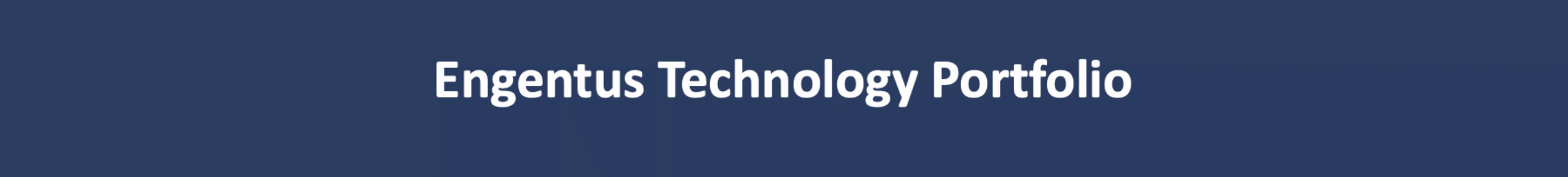 ENGENTUS TECHNOLOGY PORTFOLIO