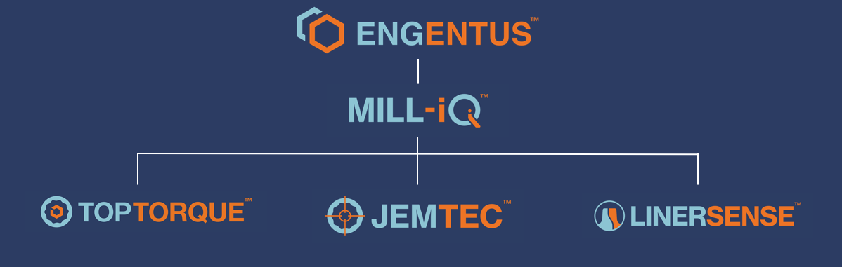 ENGENTUS TECHNOLOGY PORTFOLIO